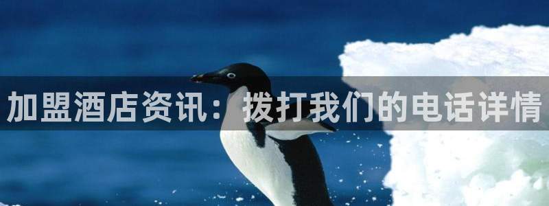 威廉希尔官网|加盟酒店资讯：拨打我们的电话详情
