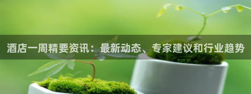 威廉希尔官网|酒店一周精要资讯：最新动态、专家建议和行业趋势