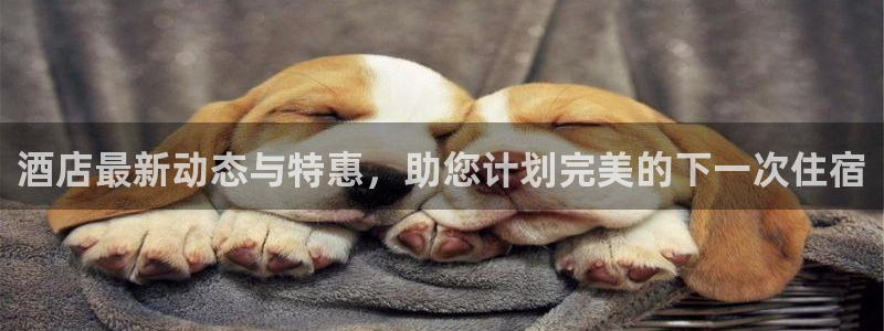 威廉体育官方app下载安装|酒店最新动态与特惠，助您计划完美