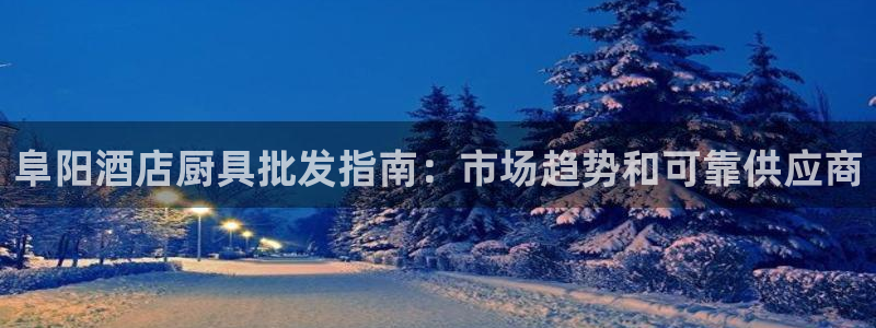 威廉希尔500指数|阜阳酒店厨具批发指南：市场趋势和可靠供应