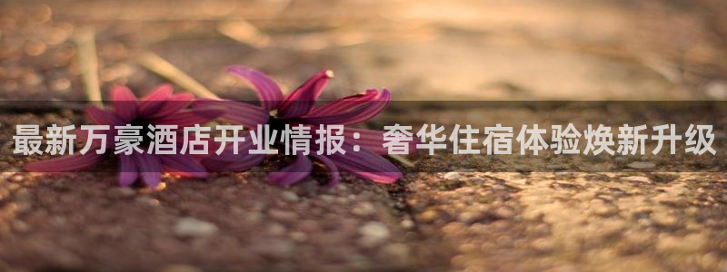 williamhill官方网站主页|最新万豪酒店开业情报：奢
