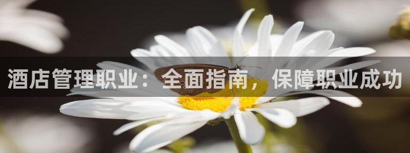威廉希尔网站平台|酒店管理职业：全面指南，保障职业成功